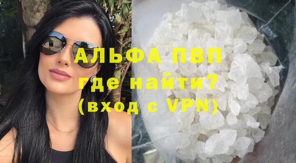 стафф Аркадак
