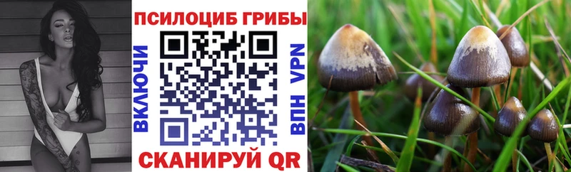 продажа наркотиков  Армянск  Псилоцибиновые грибы прущие грибы 